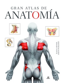 Gran atlas de anatomía