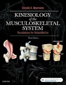 Kinesiology of the musculoskeletal system.(foundations for rehabilitation.(3rd edition)
