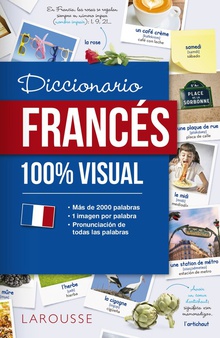 DICCIONARIO DE FRANCÈS 100% VISUAL