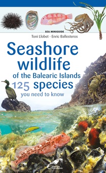 Seashore wildlife of the Balearic Islands 125 species you need to know