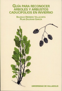 Guía Para Reconocer Arboles Y Arbustos Caducifolios En Invierno