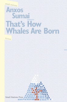 That?s How Whales Are Born
