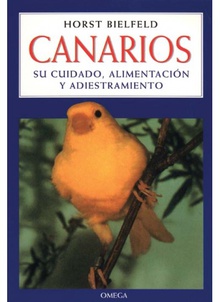 Canarios der kanarienvogel