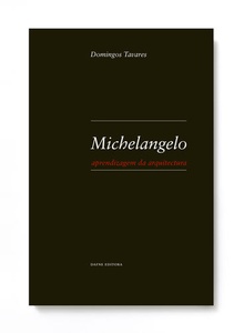 Michelangelo: Aprendizagem da arquitectura