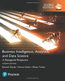 Business intelligence: a managerial approach global edition