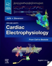 Cardiac electrophysiology: from cell to bedside