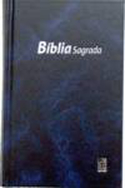 Biblia dn 43 - azul