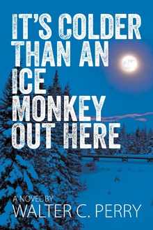 It's Colder Than an Ice Monkey Out Here