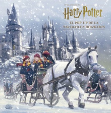 EL POP-UP DE LA NAVIDAD EN HOGWARTS Harry Potter