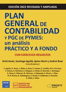 Plan General de Contabilidad y PGC de Pymes 2022 Un análisis práctico y a fondo