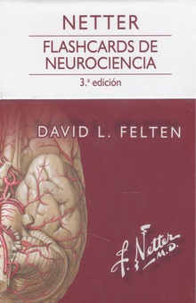 Netter flashcards de neurociencia