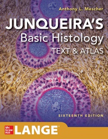 Junqueira's basic histology: text and atlas